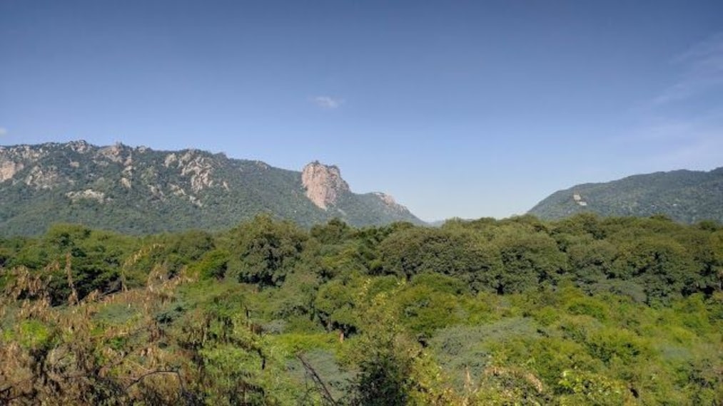 Amirthi Zoological Park-4